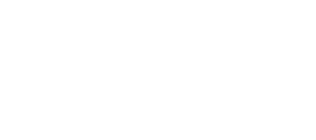 bora-logo-weiss